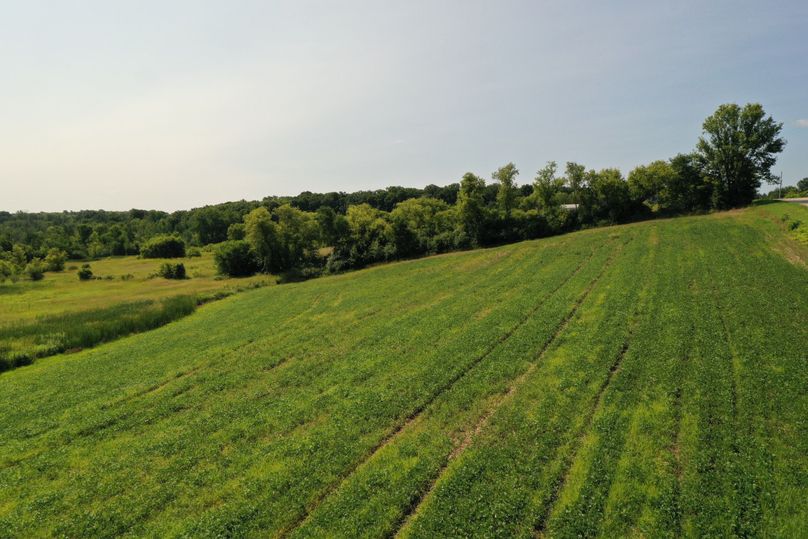 DJI_0725