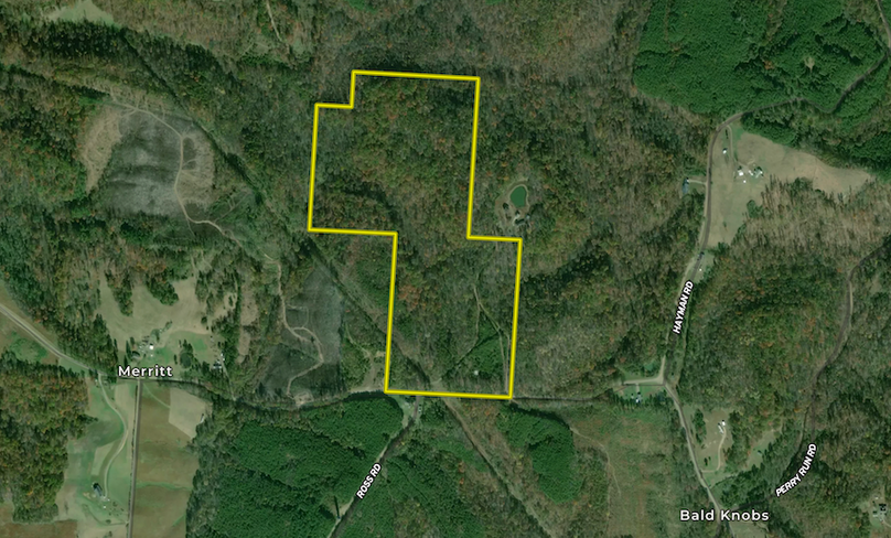 Screenshot 2024-03-26 at 11.54.29 AM