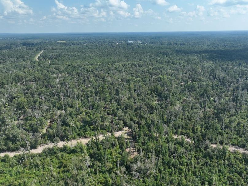 dji_fly_20240814_114628_761_1723676259964_photo