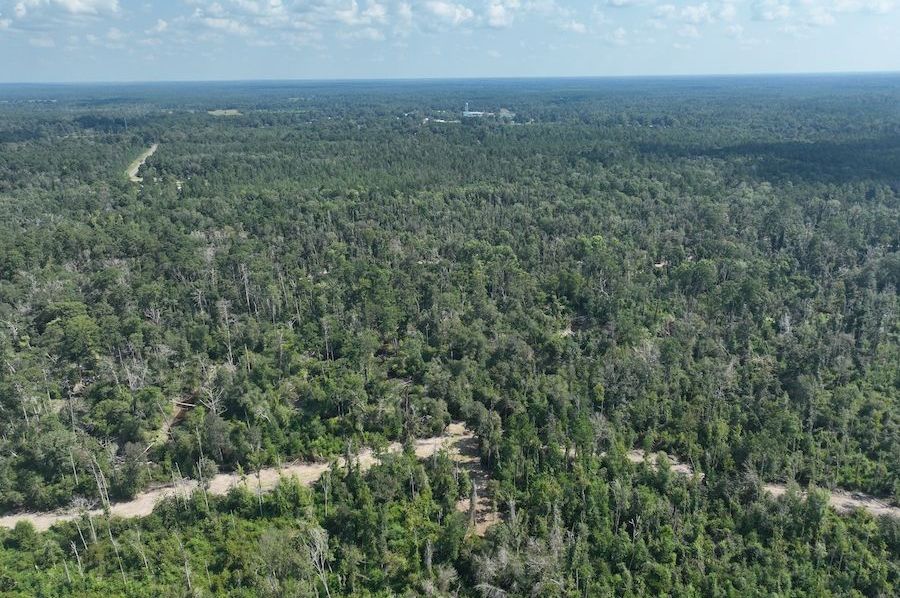 dji_fly_20240814_114628_761_1723676259964_photo