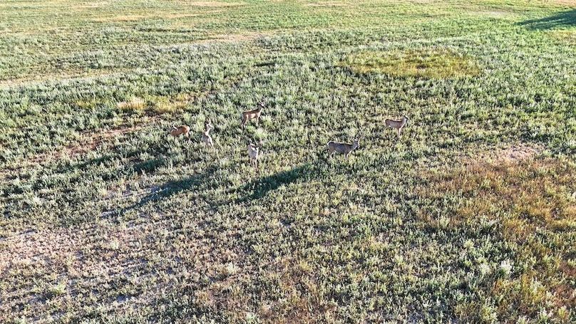 DJI_20240810073850_0216_D