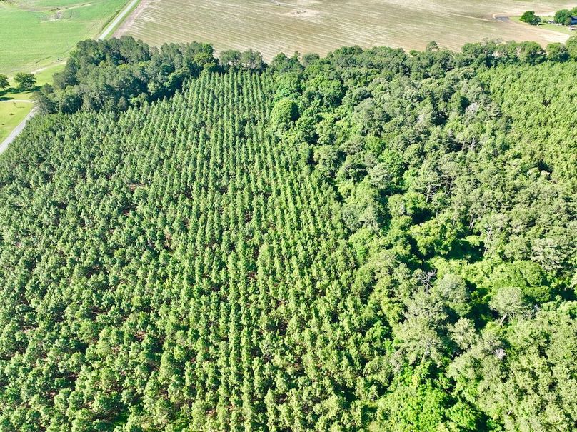 dji_fly_20240521_094546_373_1716299359056_photo