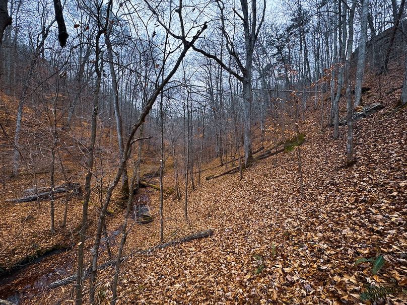 Ritchie, WV 100 AC Harper-35