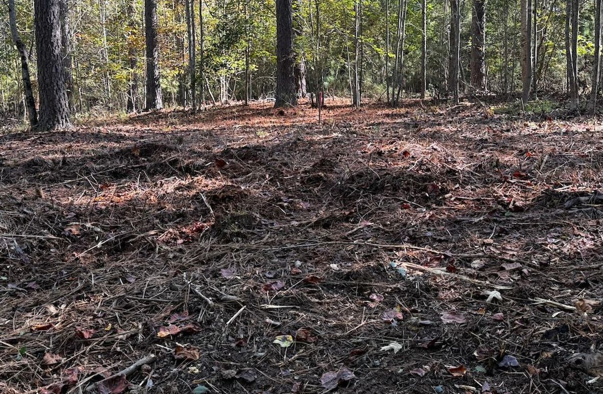 004_Level Building Lot