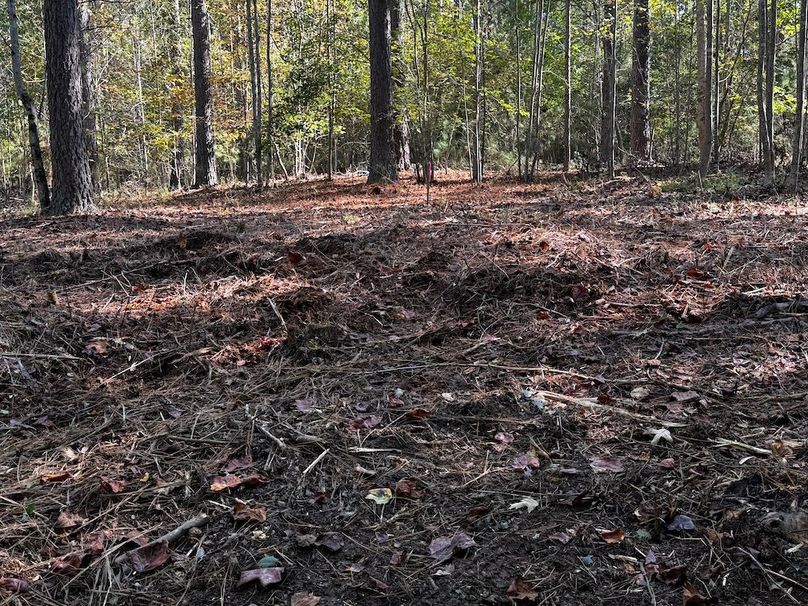 004_Level Building Lot