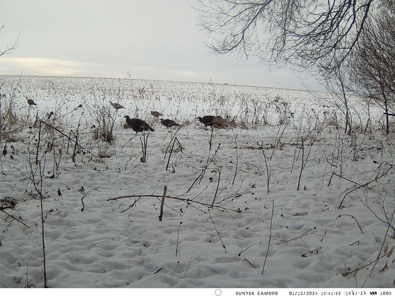 2024-1201-154153_000476