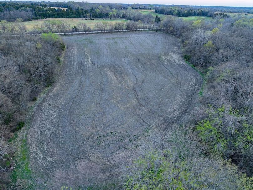 DJI_20250327193054_0136_D