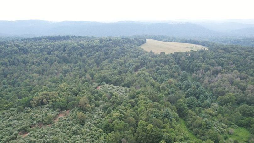 dji_fly_20250806_140810_589_1754530428917_photo