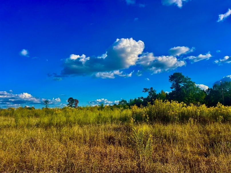 E1272C29-39A6-496F-A482-DD32DA03C148_1_201_a