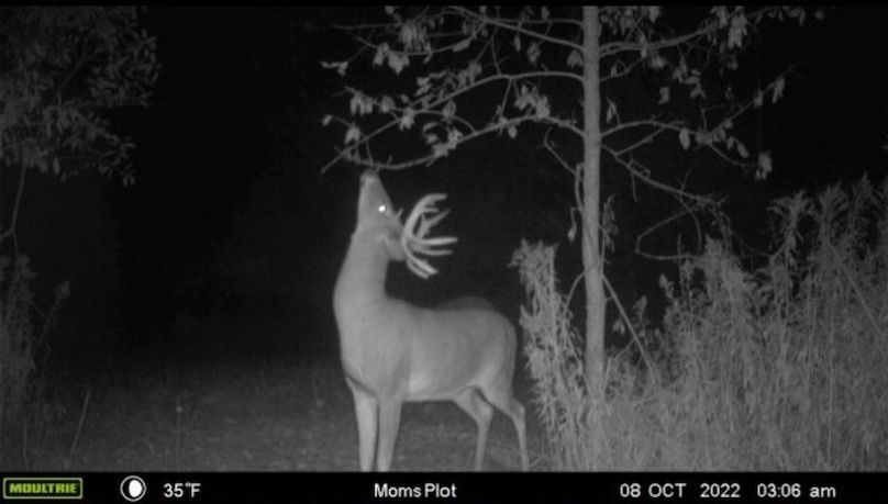 Screenshot_20221008-073856