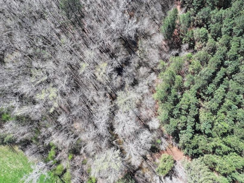 010AE - 257 Acres - Drone-11