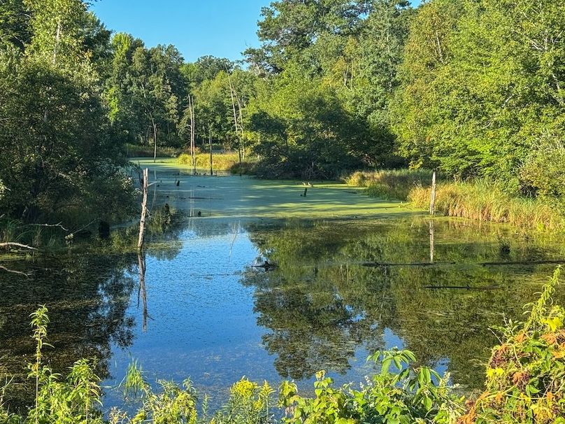 Pantzke Ground Photos-34