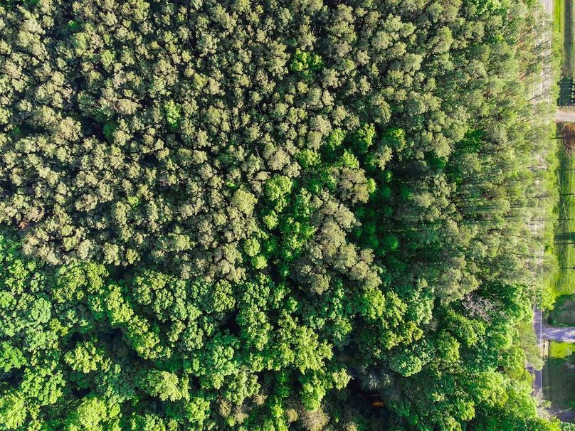 DJI_0532