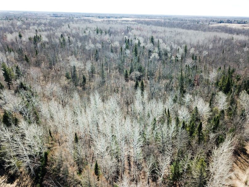 DJI_0029