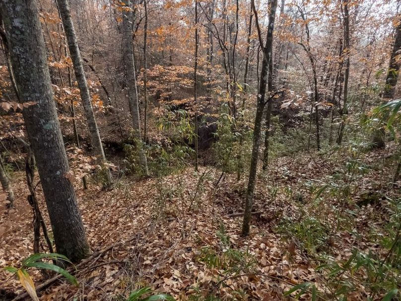 Claiborne Co - 274 - Marian-083