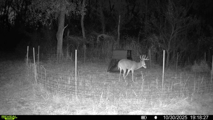 016687000319968-58-3-10302025192125-HD-SYFW01502