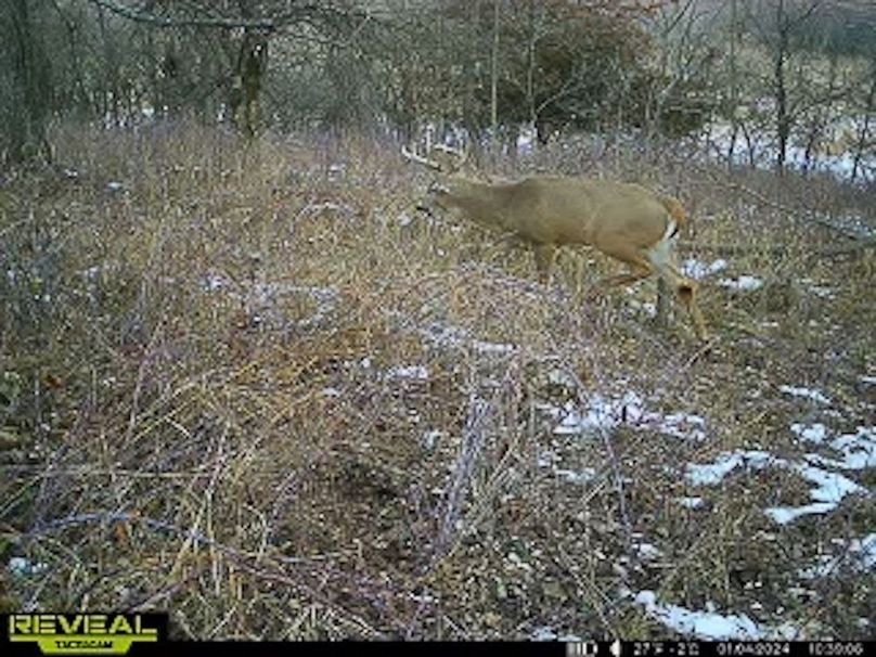 865509050250715-40-4-01042024103925-W1005476