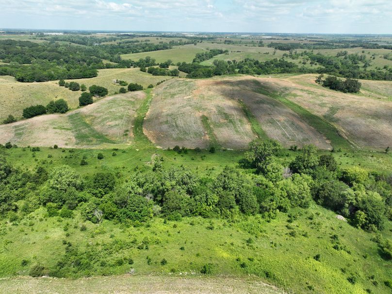 dji_fly_20230625_114728_458_1687717422088_photo