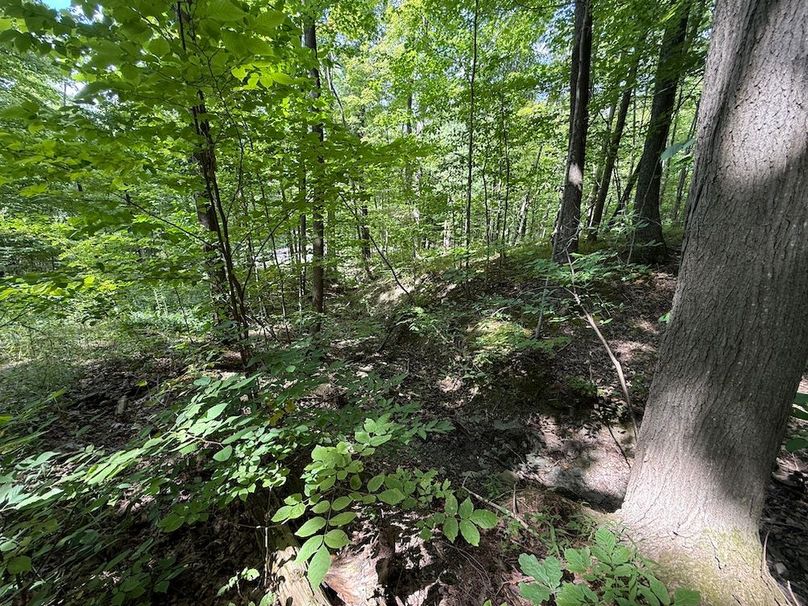 Ontario_2.7_Proseus Photo 23