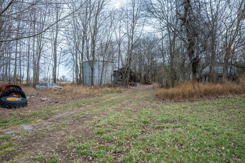 Copy of DSC00752 Large