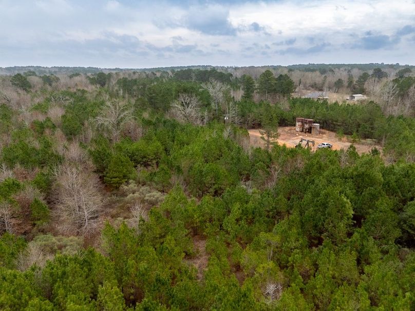 Edited_brightened Harrison co. Sammy Anderson 2 tracts-33