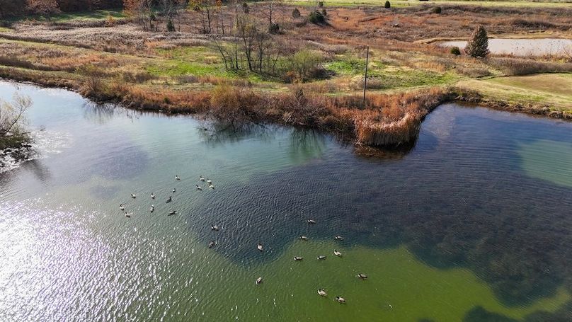 DJI_20251112133039_0573_D