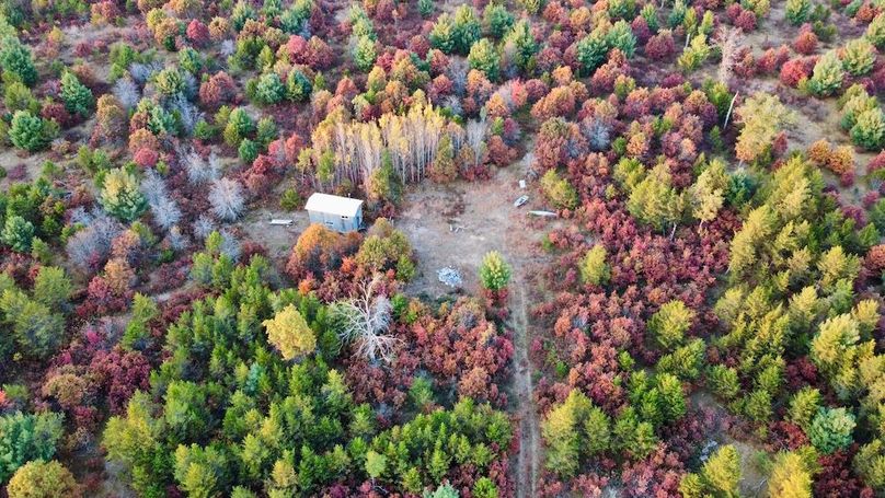 dji_fly_20241011_175354_459_1728687426454_photo_optimized 2