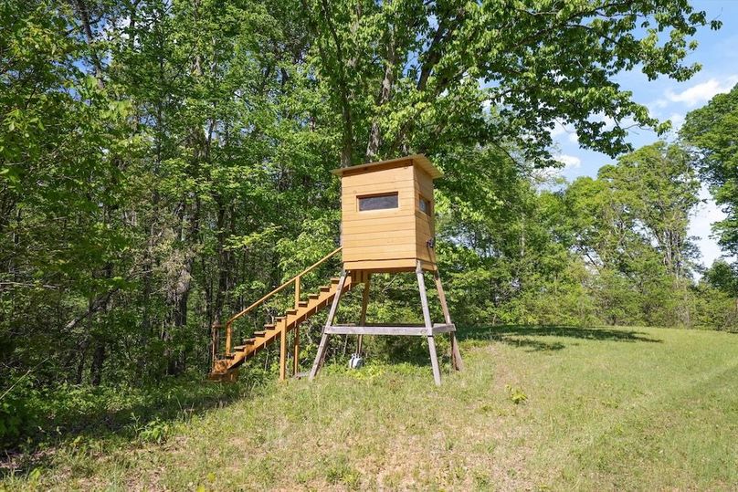 54-2869 Persian Ln50