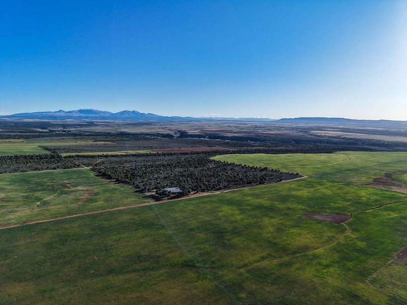 DJI_20260423075553_0210_D