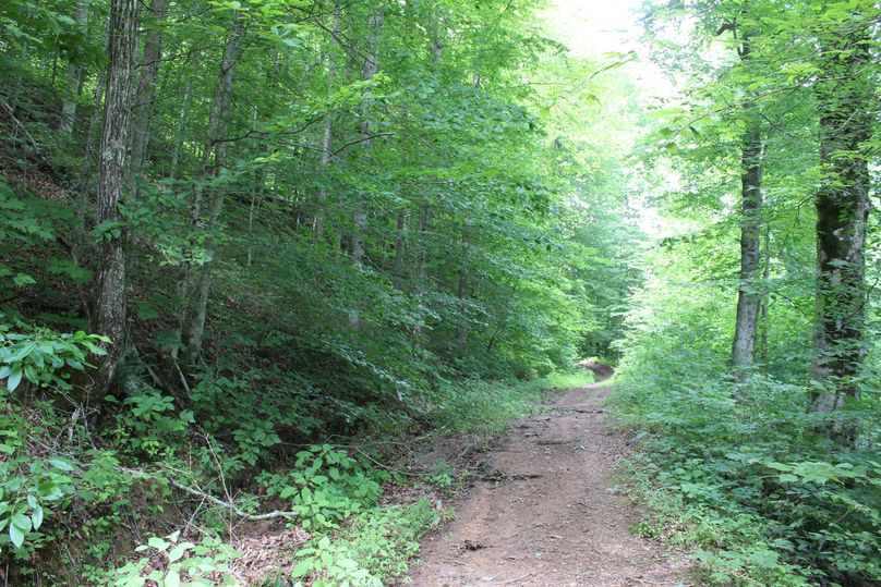 021 some of the well groomed access trails throughout the property