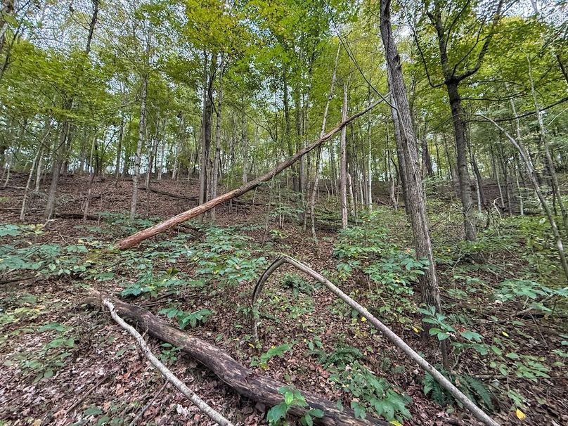 Greenup 77.28 Holsinger-42