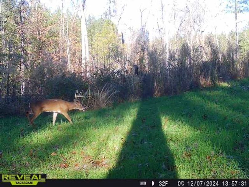 862515041535786-80-5-12072024135732-W1001023