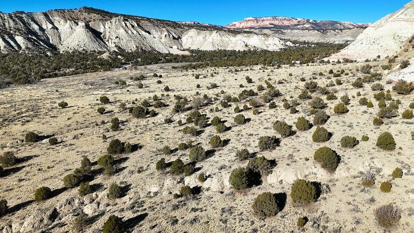 DJI_20241219102401_0085_D