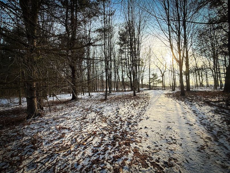 Seneca_43_Hohwald_Photos_31