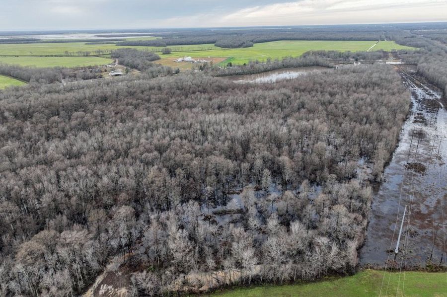 dji_fly_20250201_092042_882_1738428547367_photo
