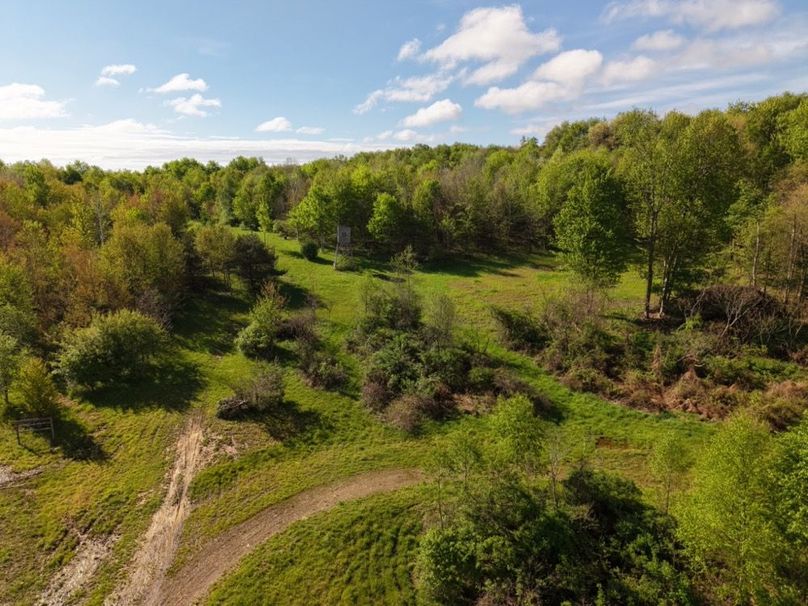 dji_fly_20260515_082122_0012_1778855503976_photo