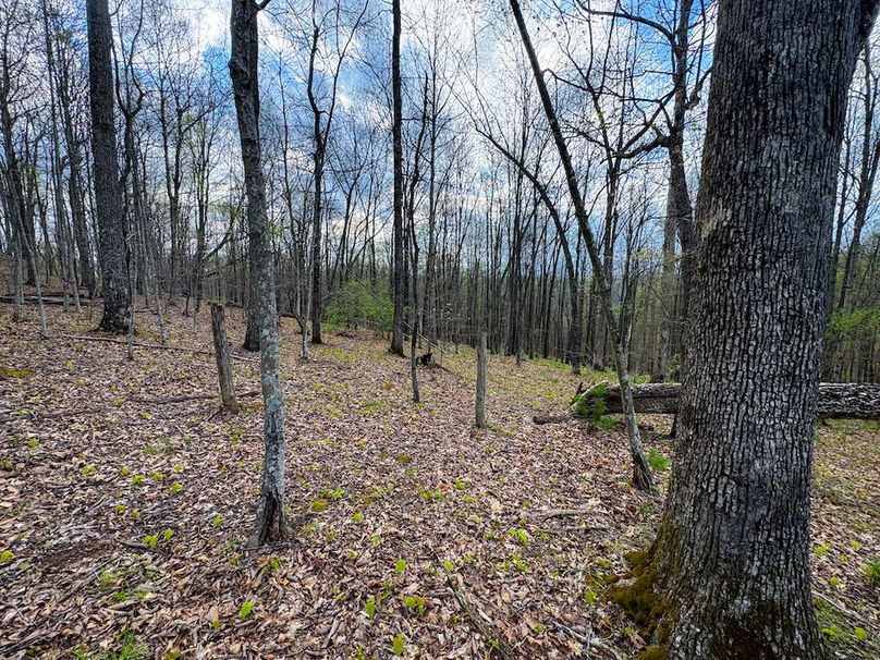 Calhoun, WV 132.84 AC Szegi 2-115