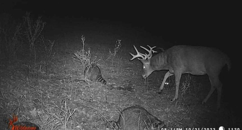 received_961561522178370