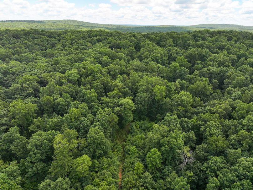 DJI_20250709125828_0415_D