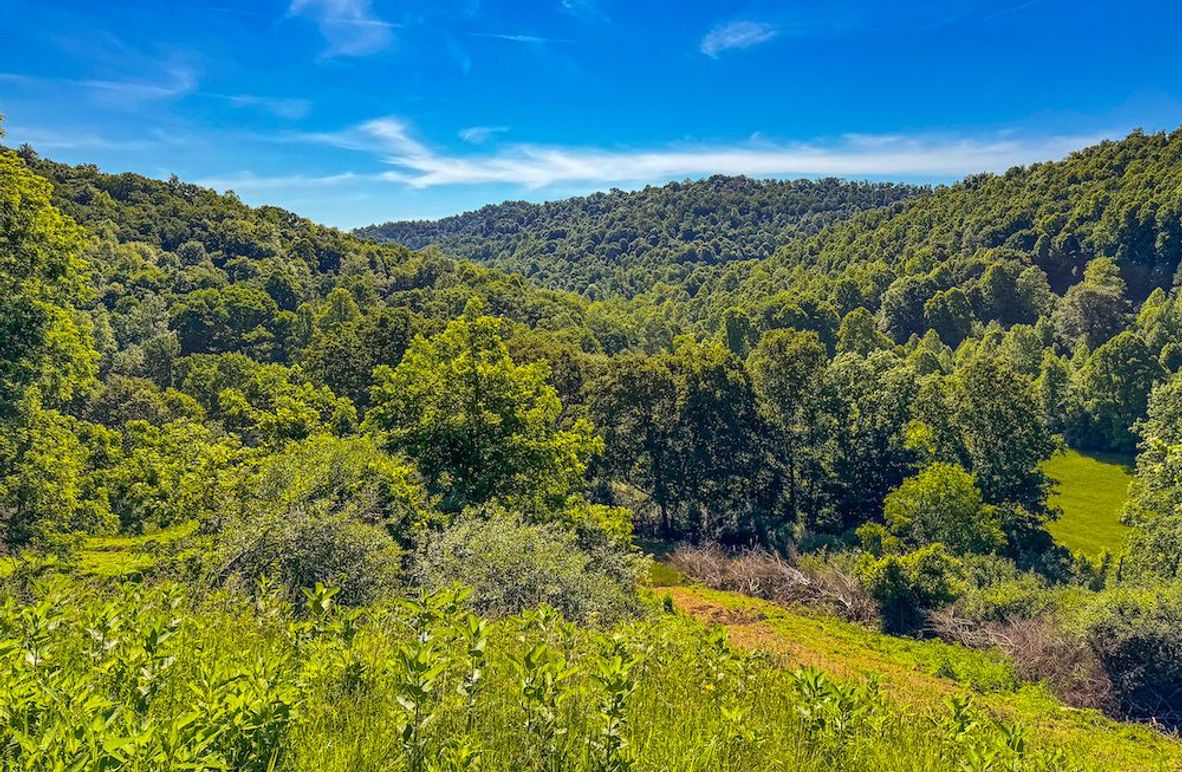 Lewis, WV 50.1 AC Detrick-38