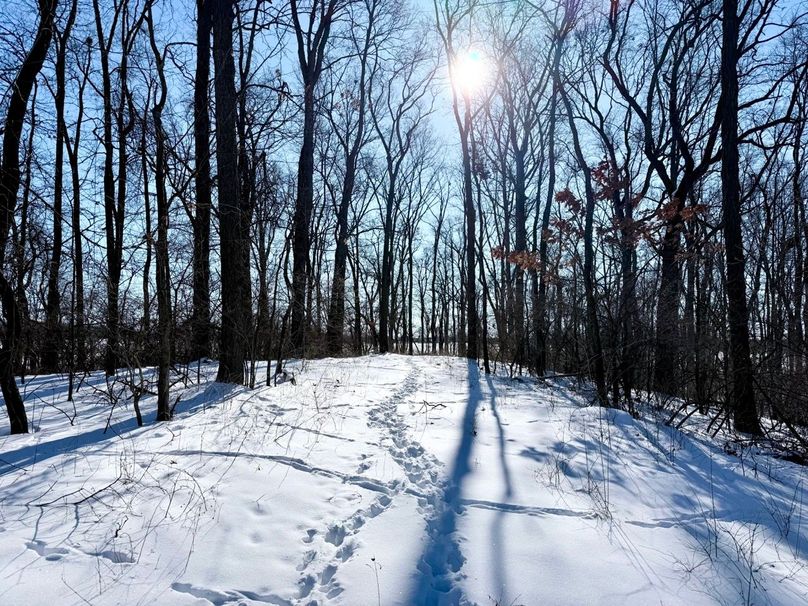 2.Copy of Tract 2 Timber Ridge  trail and tracks Large