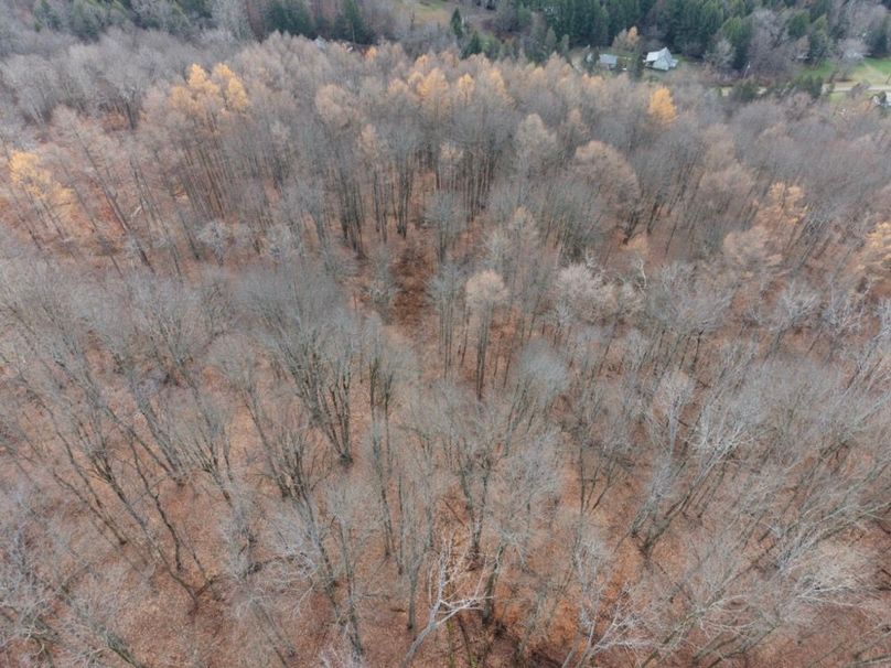 DJI_20251122115310_0070_D