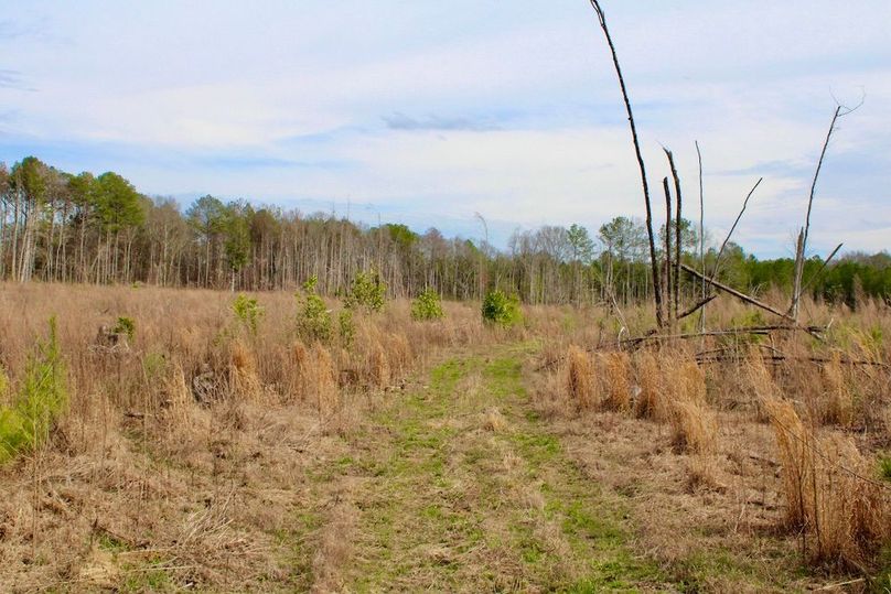 378A6809-3A7F-41B5-890F-BAB678C16C4F_1_201_a