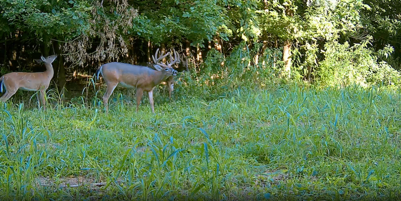 Screenshot 2025-09-24 at 3.11.37 PM