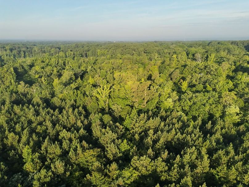 DJI_20250627072043_0026_V