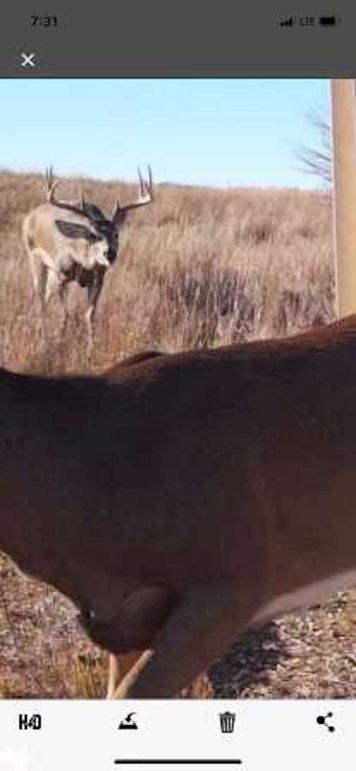 pulse-image-1658112821015