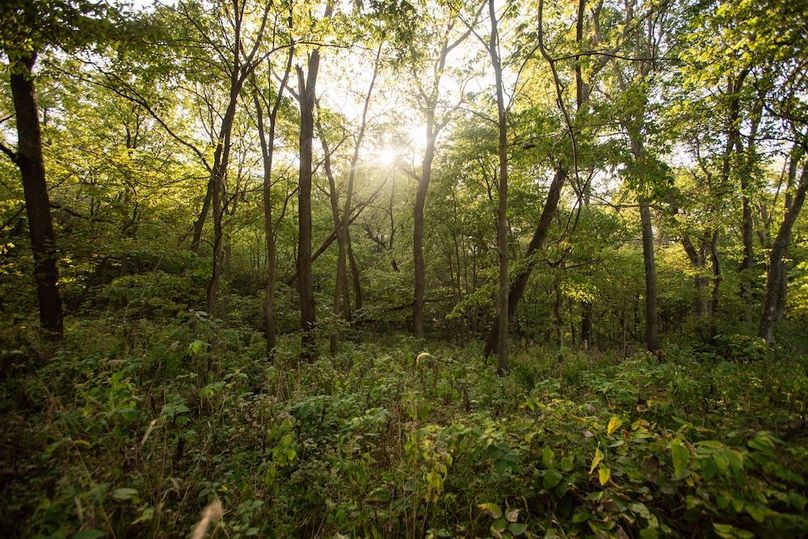 Copy of POTTAWATTAMIE CO IA 311 TRACT 3_29