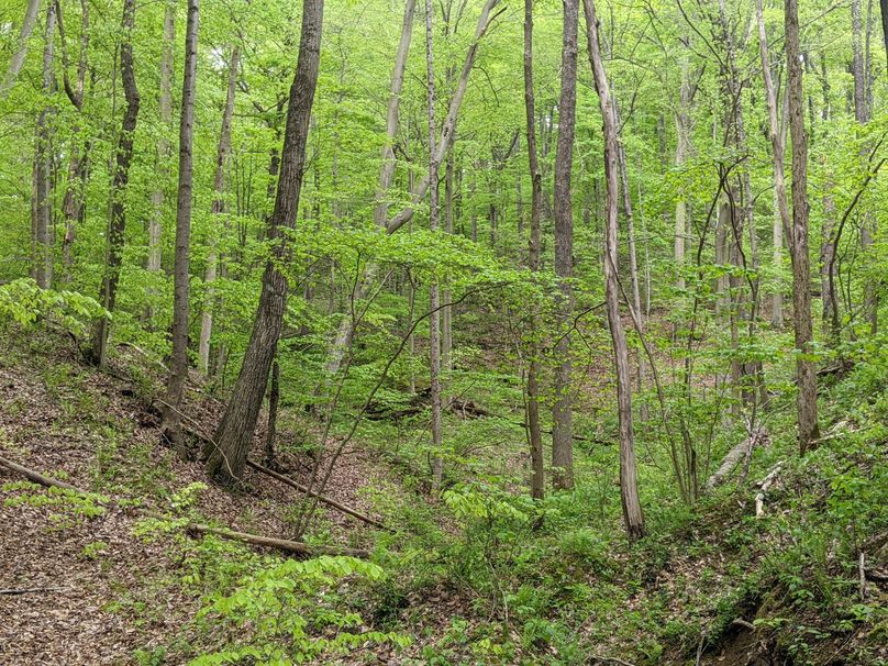 PXL_20230504_222418857