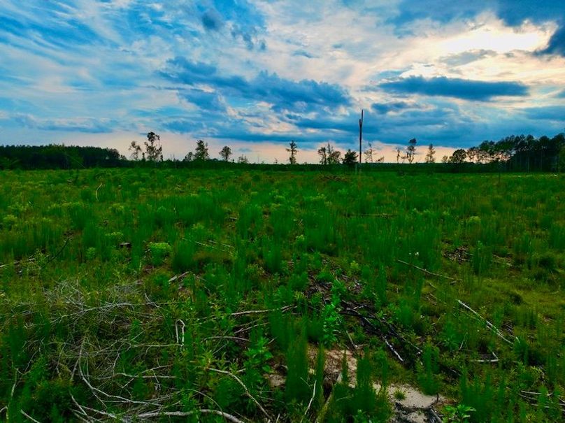 35AA2423-2DC5-4977-8A5A-5C1E97B92442_1_105_c