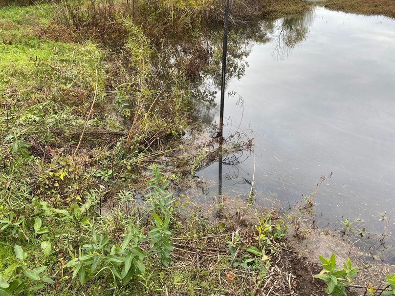 pics from late 2021 and early 2022. New plots being planted in Aug 2023 for new pics (39)